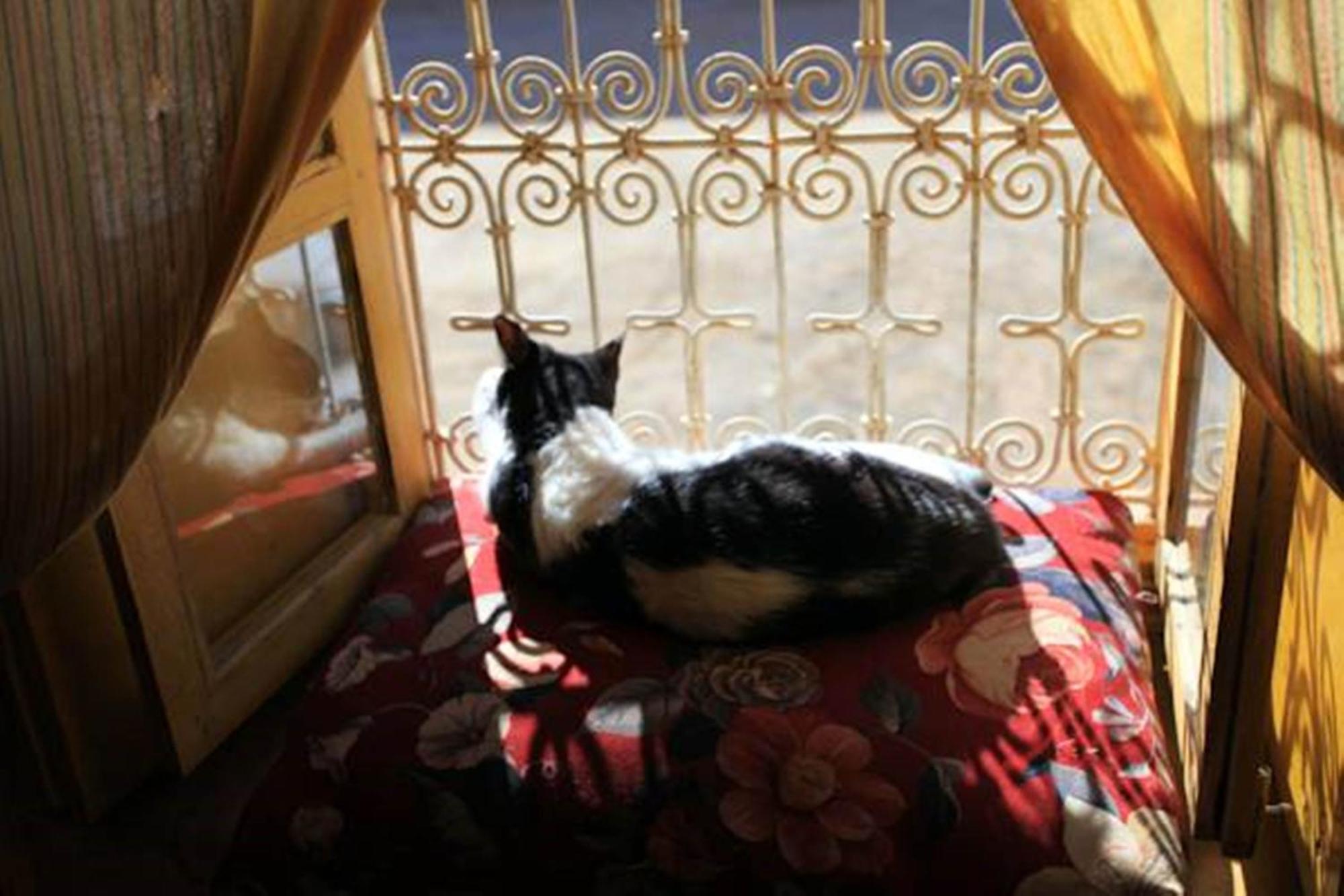 Auberge Chez Julia Merzouga Luaran gambar